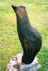 Bird